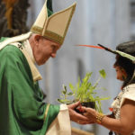 “Querida Amazónia”: Papa apela a novos caminhos assentes no “diálogo social”, na “espiritualidade inculturada” e na “ecologia integral”