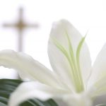 Pastoral da Saúde: “A morte e o luto”