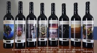 20231027-vi-edicao-vinho-paroquia-sao-sebastiao (5)