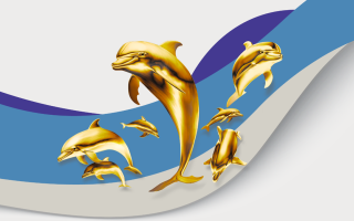 20240201-d-americo-aguiar-golfinhos-de-ouro
