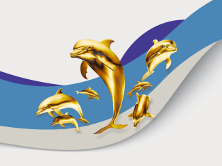 20240201-d-americo-aguiar-golfinhos-de-ouro