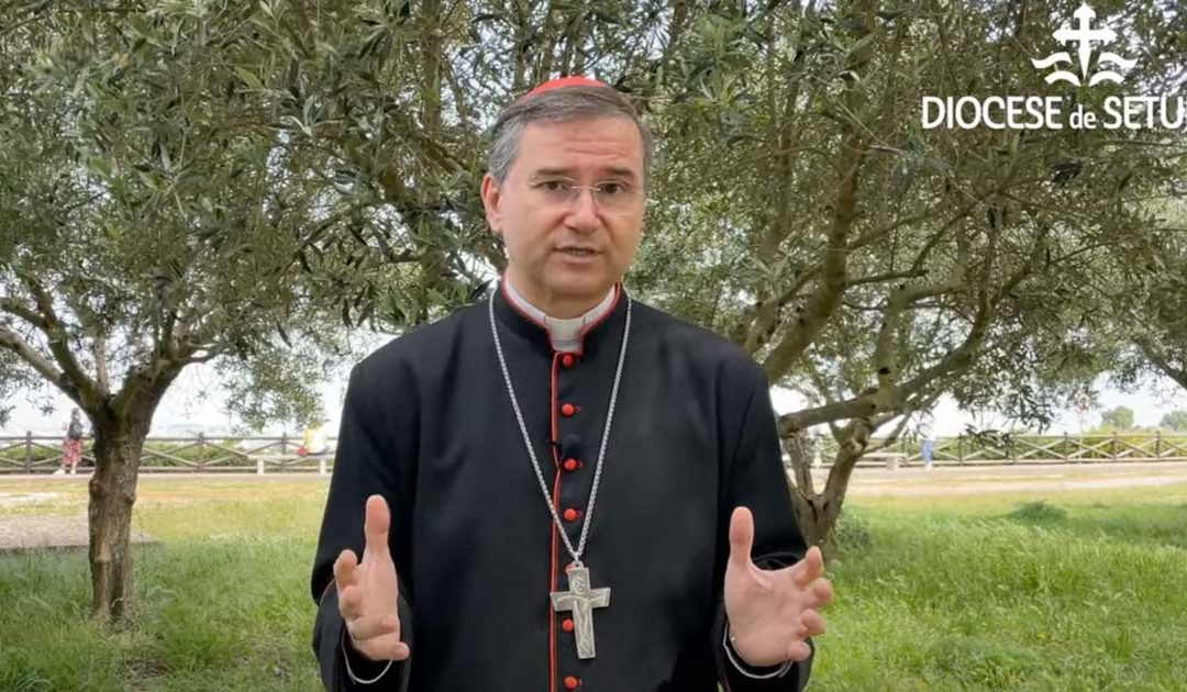 Mensagem do Cardeal D. Américo Aguiar para o 25 de Abril