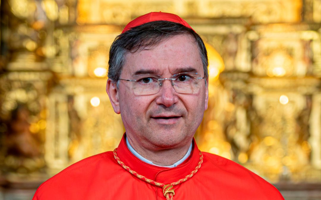 JMJ Lisboa 2023, um ano depois