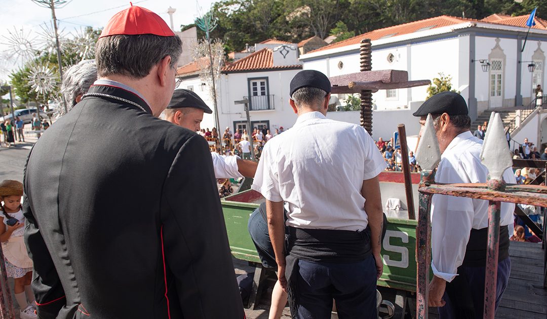 Festa das Vindimas em Palmela