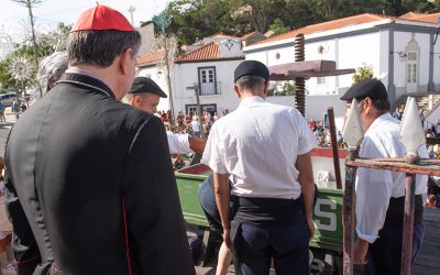 Festa das Vindimas em Palmela