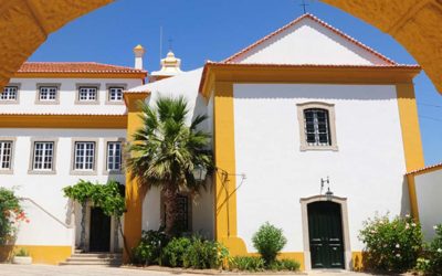 Mensagem de D. Américo Aguiar para a Semana dos Seminários