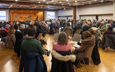 Encontro Sinodal Nacional: Conselhos pastorais e diocesanos, transparência e responsabilização são desafios sinodais