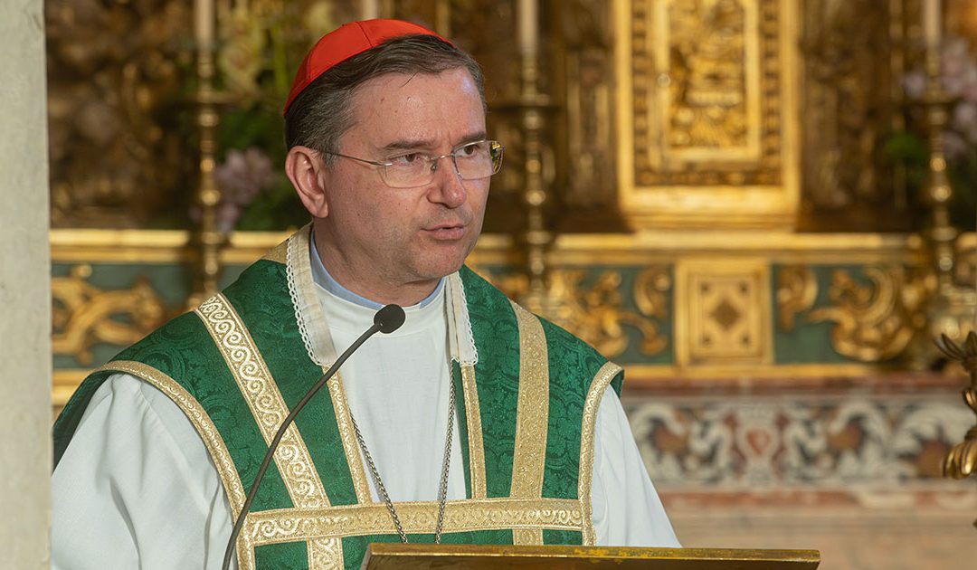 Papa Francisco “é a única figura transversal dentro da humanidade” nestes “tempos que vivemos”