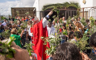 Domingo de Ramos na comunidade dos Foros da Amora