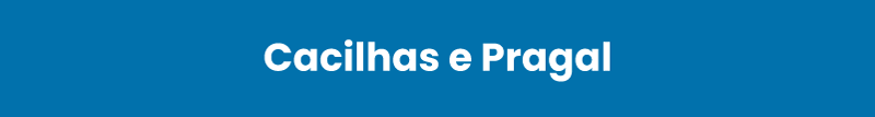 dioceseSetubal-visitaPastoral2026-2028-banners-cacilhasPragal