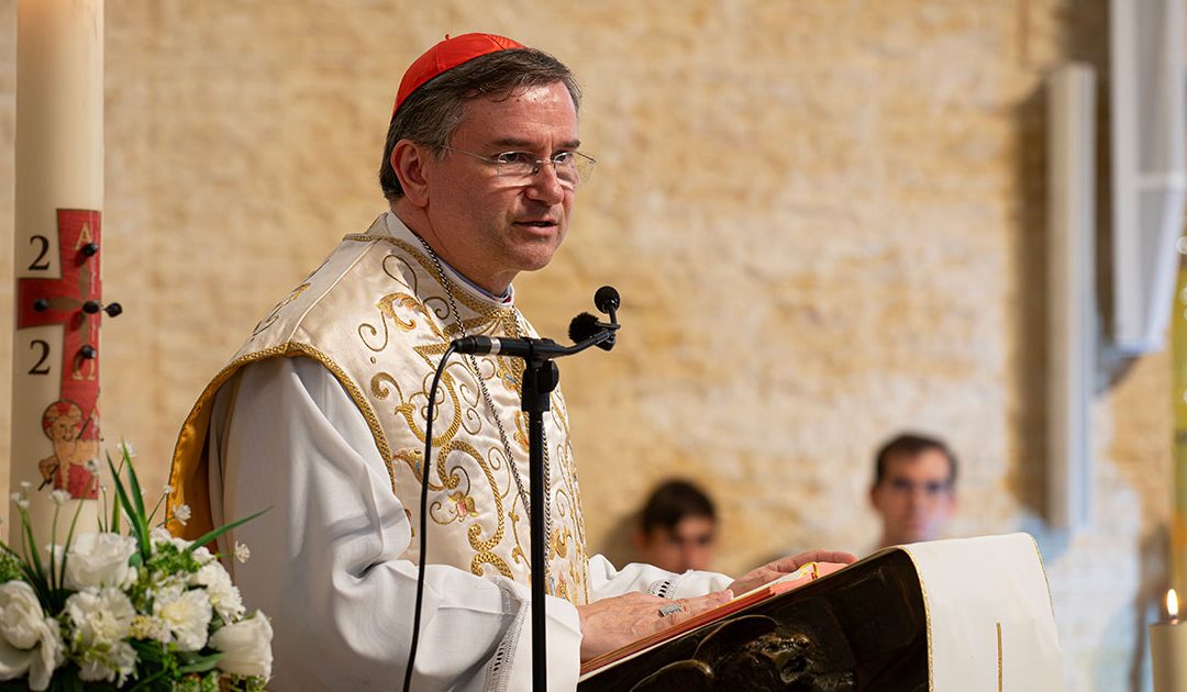 Papa Francisco “marcou o coração da humanidade de forma profunda”