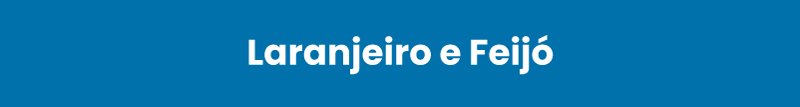 dioceseSetubal-visitaPastoral2026-2028-banners-laranjeiroFeijo